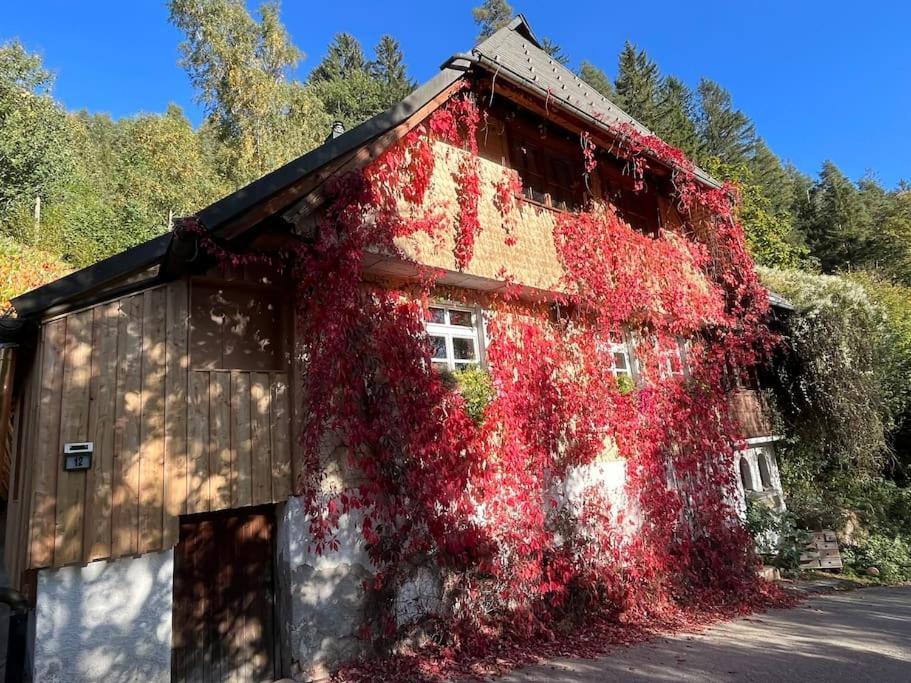 Auszeit Am Kreisbach Apartment Triberg im Schwarzwald Ngoại thất bức ảnh
